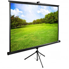  Cactus Экран 100x200см TriExpert CS-PSTE-200х150-BK 4:3 напольный рулонный
