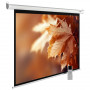  Cactus Экран 188x300см MotoExpert CS-PSME-300x188-WT 16:10 настенно-потолочный рулонный белый (мотор
