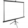  Cactus Экран 200x200см TriExpert CS-PSTE-200х200-BK 1:1 напольный рулонный

